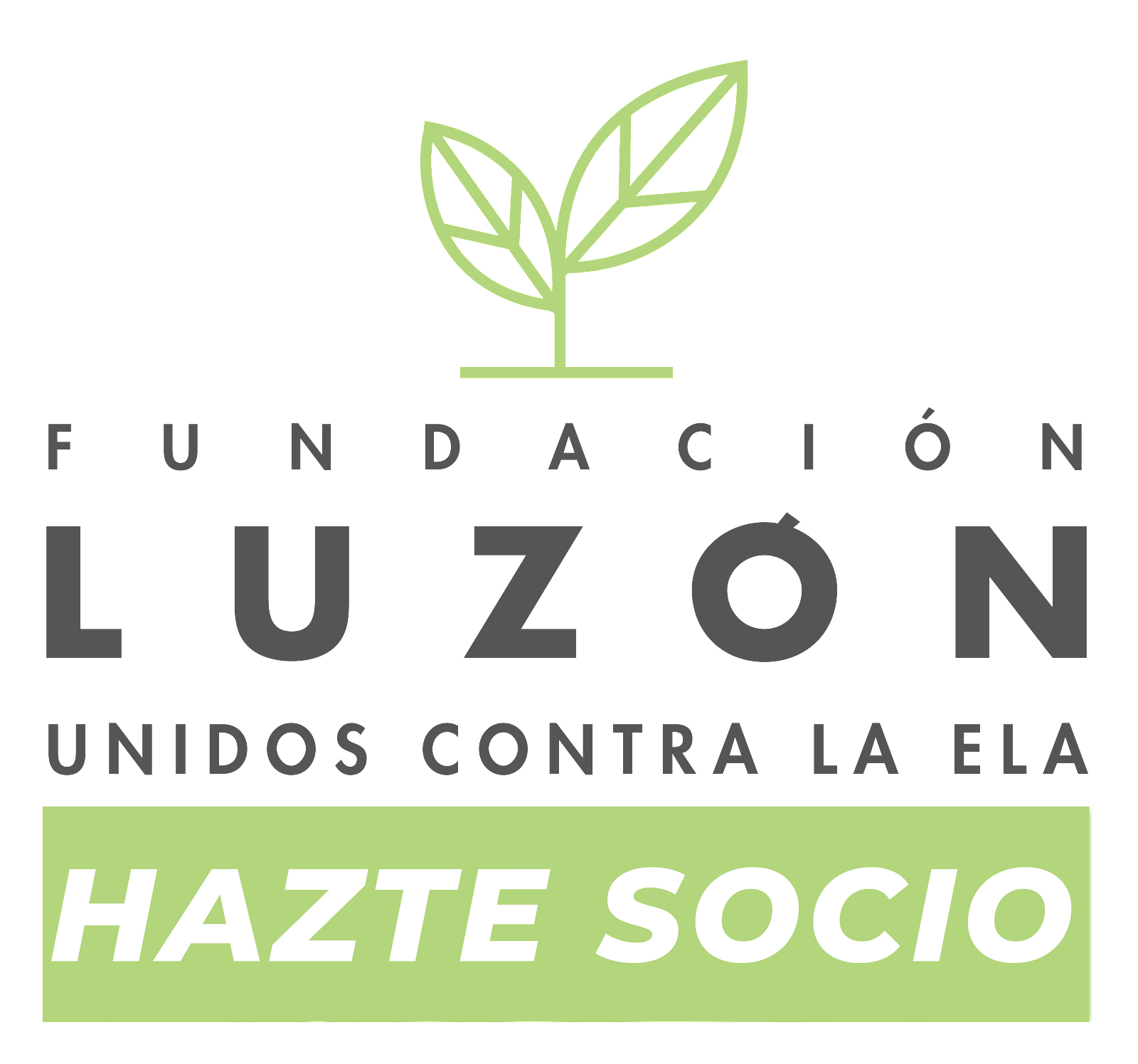 Fundación Francisco Luzón